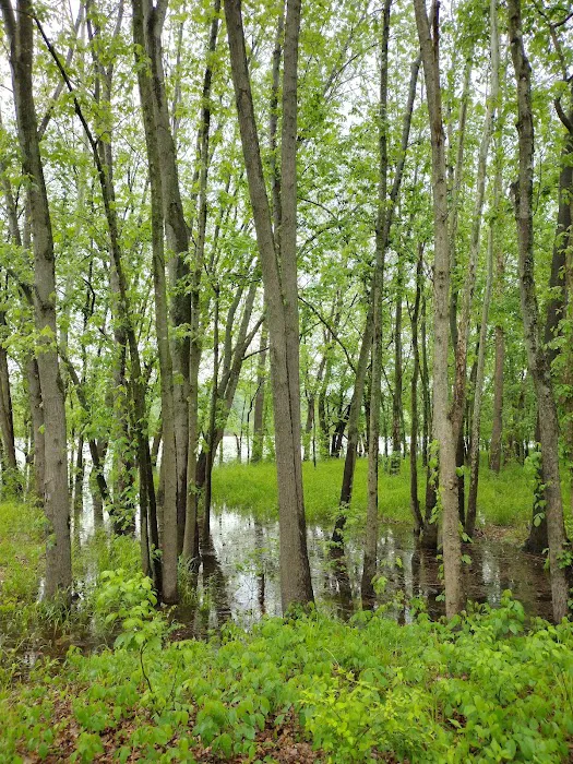Pikes Camp Access 8