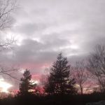 Winterwood Estates