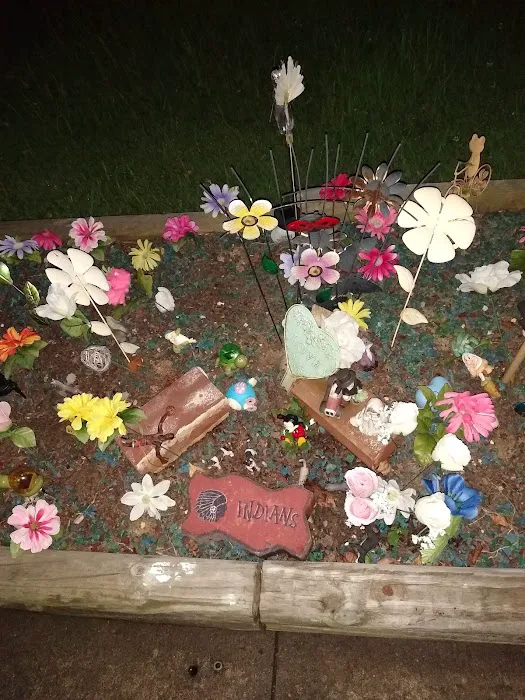 Mulberry Acres Mobile Home Park 5