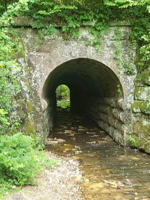 Castor River Ranch Campground 10