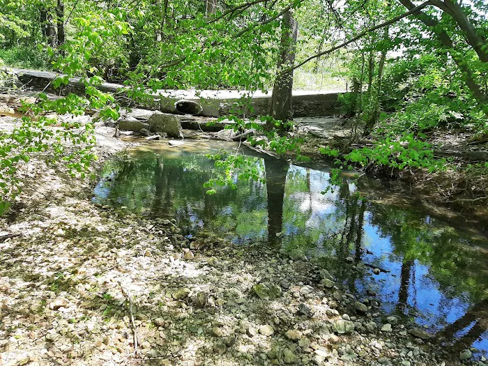 Pine Hills Campground 5
