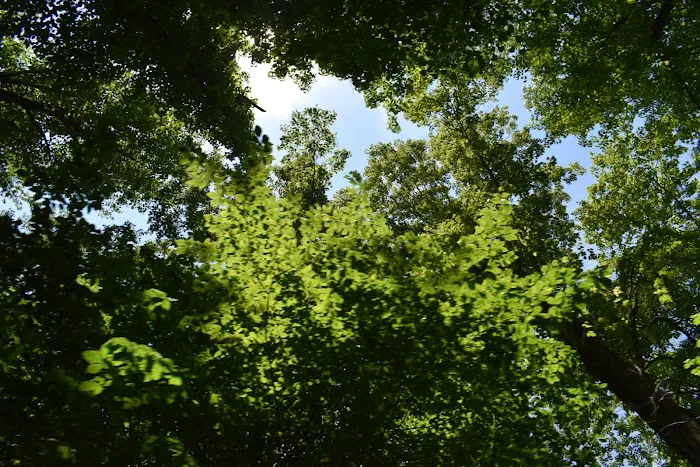 Pine Hills Campground 2