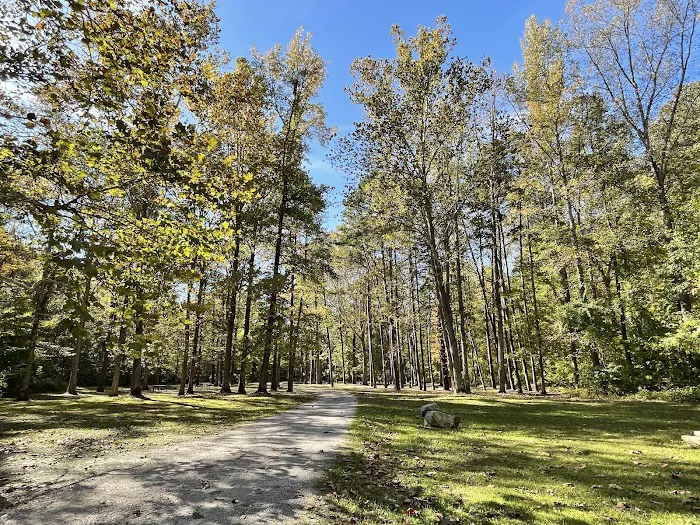 Pine Hills Campground 10