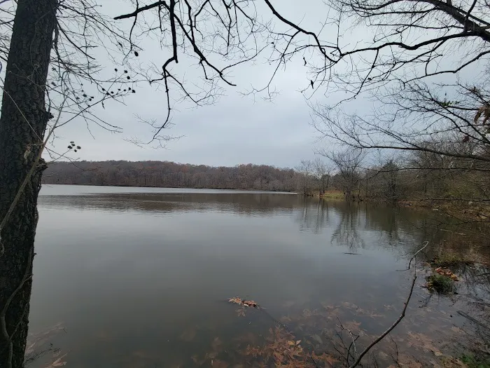 Cedar Lake Campsite #1 1