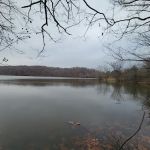 Cedar Lake Campsite #1