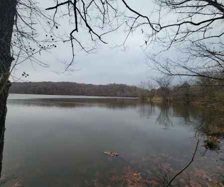 Cedar Lake Campsite #1