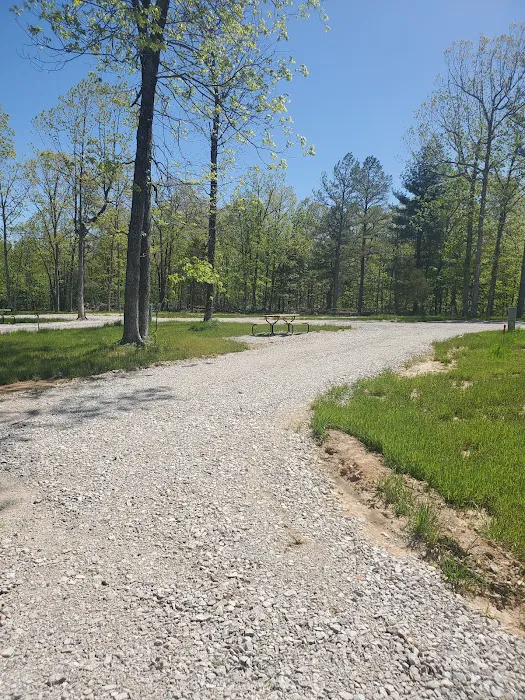 Pine Trails Camp Ground 10