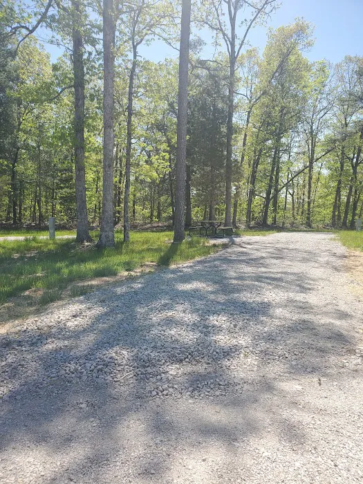 Pine Trails Camp Ground 3