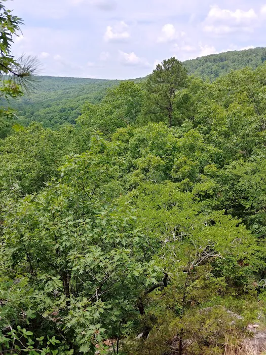 Taum Sauk Mountain Campground 5