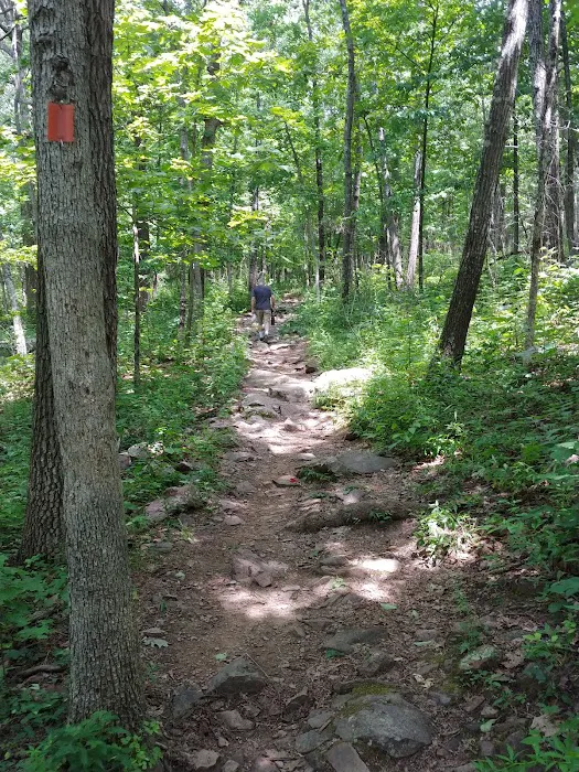 Taum Sauk Mountain Campground 6