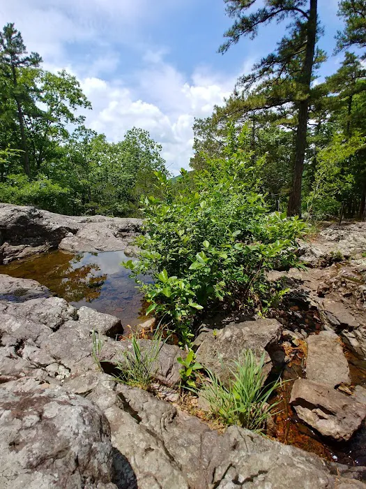 Taum Sauk Mountain Campground 9