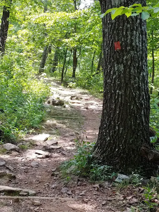 Taum Sauk Mountain Campground 7