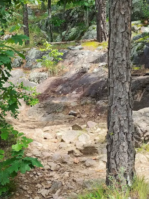 Taum Sauk Mountain Campground 3