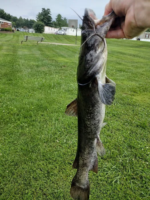 Lakeside Estates 3