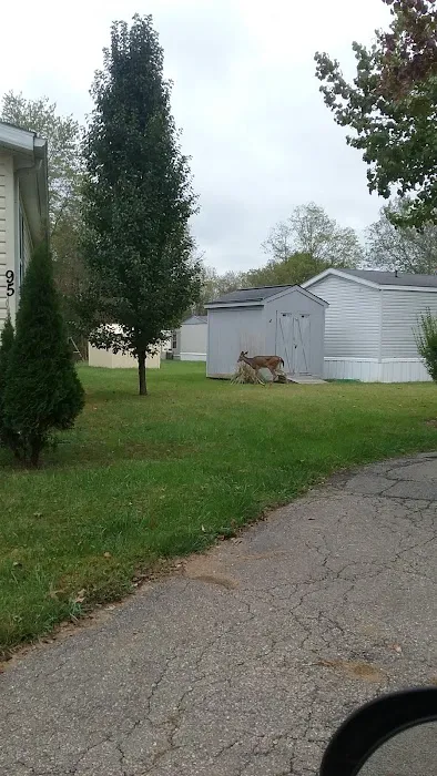 Forest Creek Mobile Home Park 3
