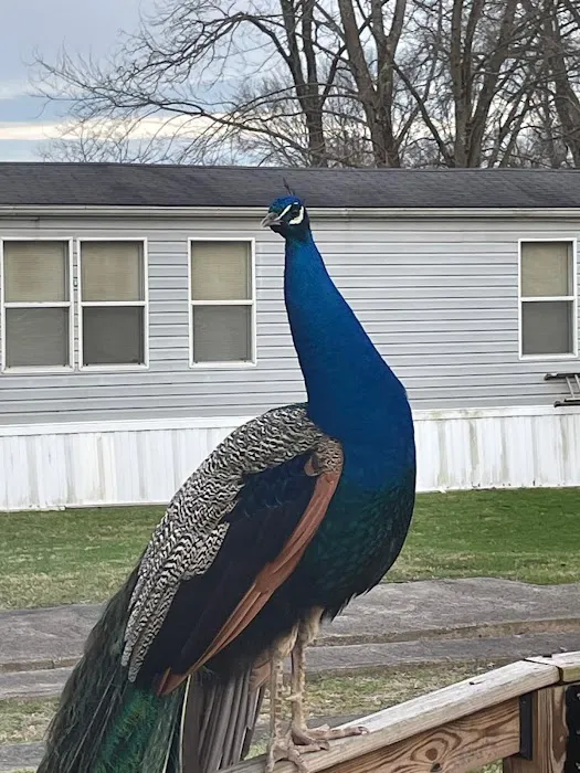 Forest Creek Mobile Home Park 5