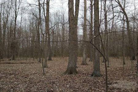 Backpack Trail Camp 1