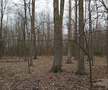Backpack Trail Camp 1