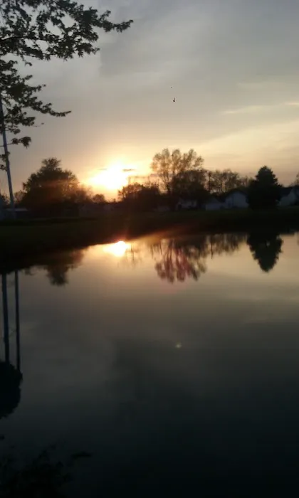 Tower Mobile Home Park & Sales 1