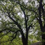 Camp Boji Seasonal RV Park