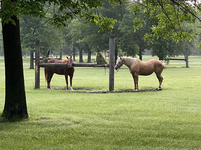 Brushy Creek North Equestrian Campground 9