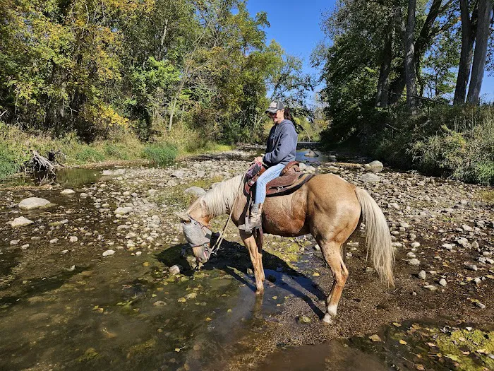 Brushy Creek South Equine Campground 1