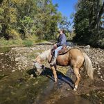 Brushy Creek South Equine Campground