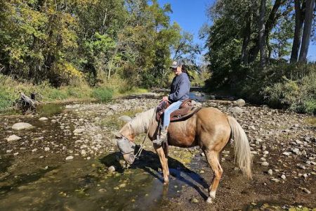 Brushy Creek South Equine Campground