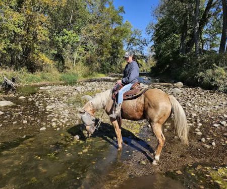 Brushy Creek South Equine Campground