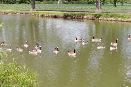 Westridge Acres LLC