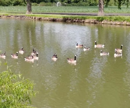 Westridge Acres LLC