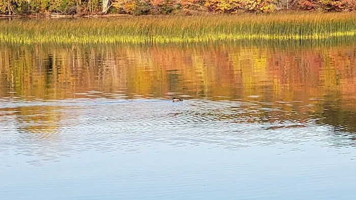 Bergland Township Park 8