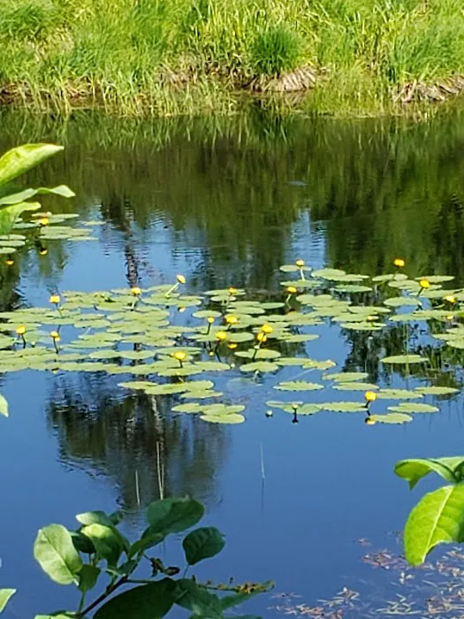 Bergland Township Park 7