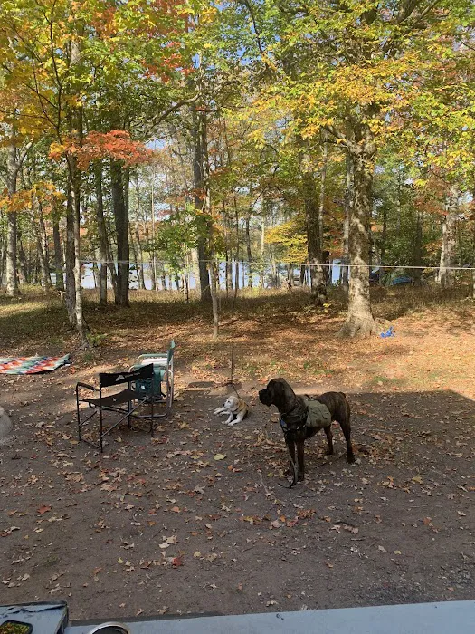 Perrault Lake Campground 8