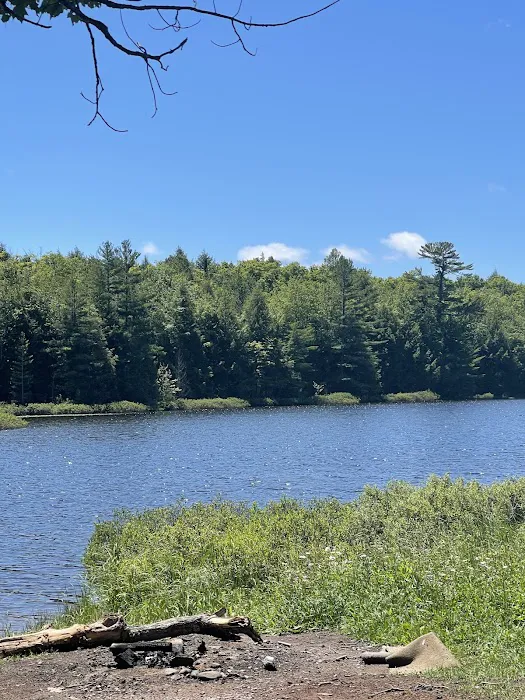 Perrault Lake Campground 3
