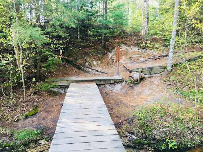 Mosquito Beach Campground 1