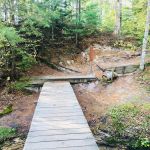 Mosquito Beach Campground