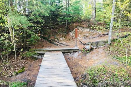Mosquito Beach Campground