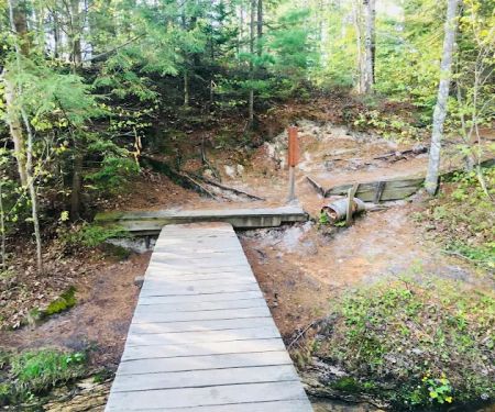Mosquito Beach Campground