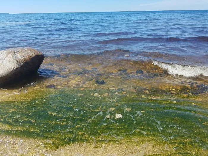 Mosquito Beach Campground 8