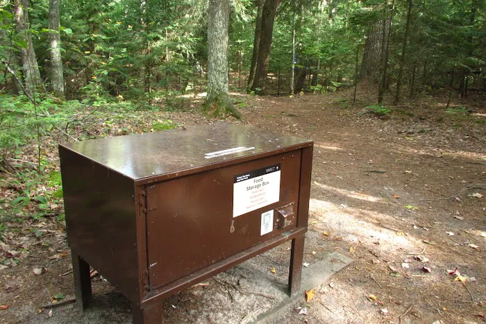 Mosquito Beach Campground 10