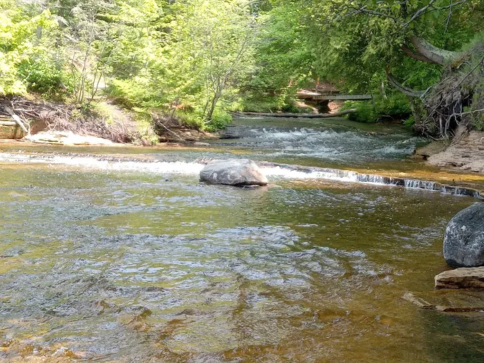 Mosquito Beach Campground 6