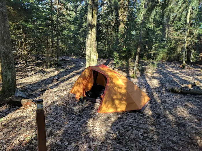 Mosquito Beach Campground 2