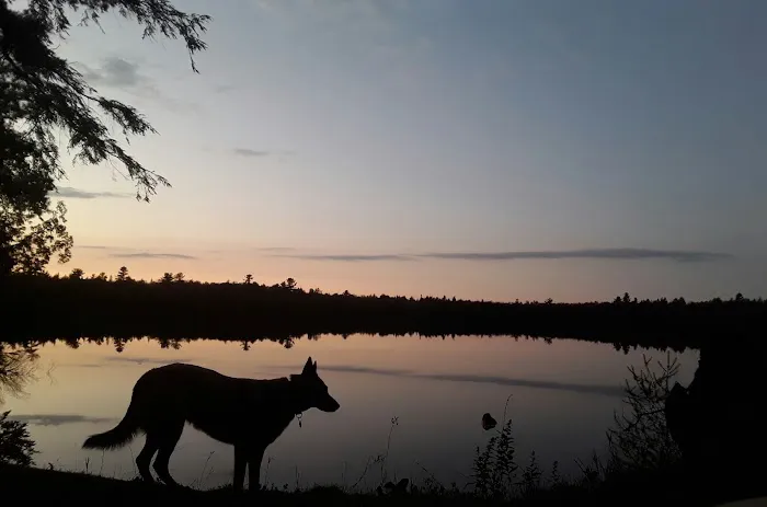 Canoe Lake State Forest Campground 6