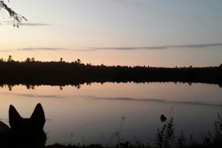 Canoe Lake State Forest Campground
