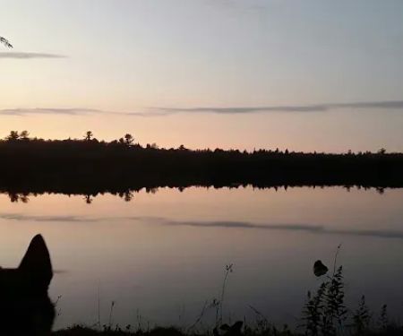 Canoe Lake State Forest Campground