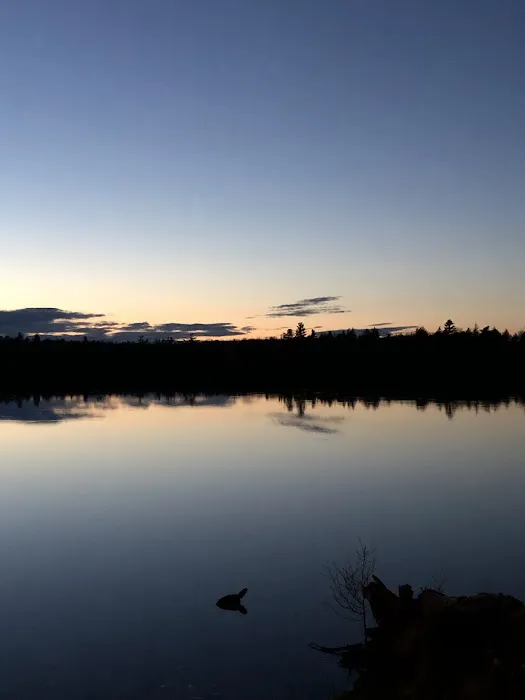 Canoe Lake State Forest Campground 4
