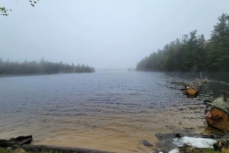 South Gemini Lake State Forest Campground