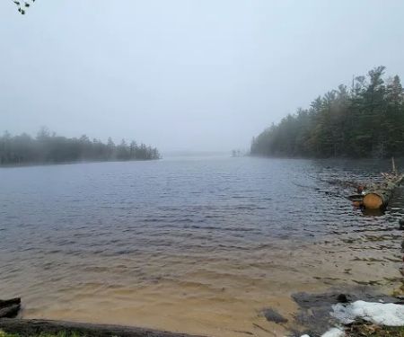 South Gemini Lake State Forest Campground