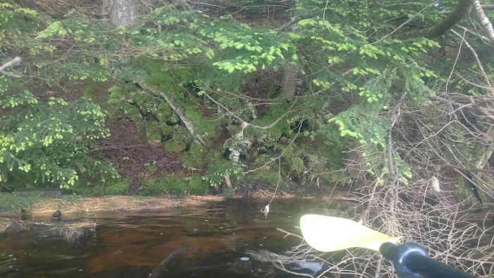 North Gemini Lake State Forest Campground 1